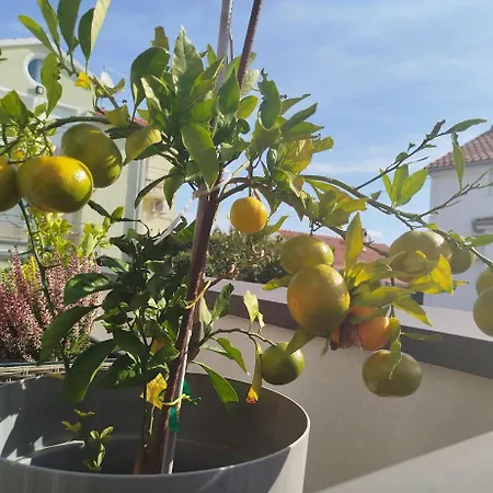 بيت ضيافة Luxury Slavica 4*