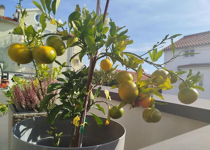 Gasthuis Luxury Slavica 4*